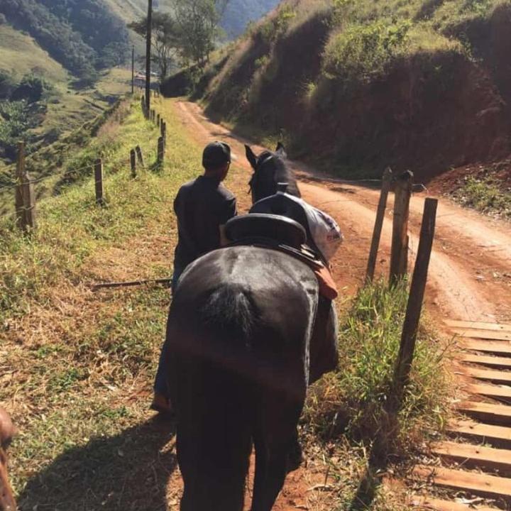 הוילה סנטו אנטוניו דו פינהאל Refugio Horse מראה חיצוני תמונה